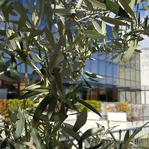 Aparthotel Riviera Palace